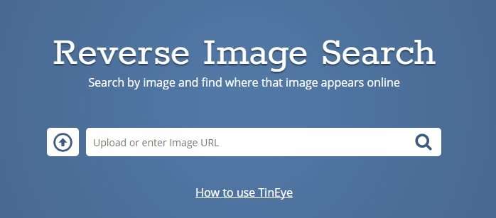 Пошук Гугл з фото, картинки – як знайти фотографію в інтернеті фотографії