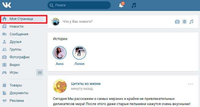 Vk.com Вконтакте Моя сторінка – як увійти, користуватися?
