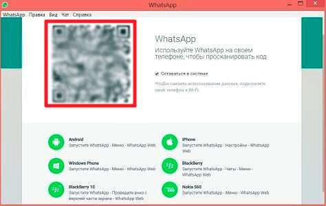 Як зайти в Ватсап з компютера – WhatsApp на ПК