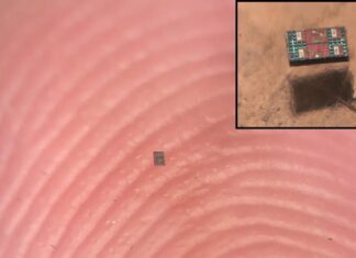 Microscopic Robots Achieve Full Autonomy: A Breakthrough in Nanotechnology