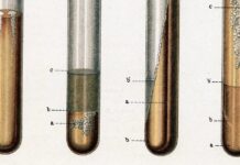 Туберкульоз Повертається до США: Безмовна Епідемія