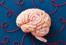 Правда про “Тренування Мозку”: Що Дійсно Працює для Довгострокового Когнітивного Здоров’я