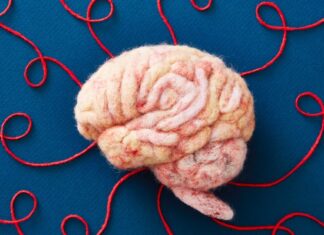 La verdad sobre el “entrenamiento cerebral”: lo que realmente funciona para la salud cognitiva a largo plazo