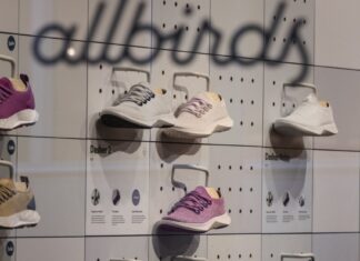 From Footwear to Fast Computing: Allbirds Pivots to AI with NewBird AI