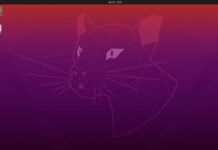 Ubuntu: історія, видання та значення