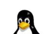 Ubuntu vs Linux: Why Open Source is the Rebel Choice Against Big Tech