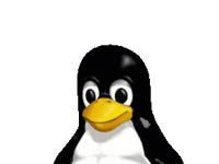Ubuntu проти Linux: чому відкритий вихідний код – це вибір бунтаря проти великих технологічних корпорацій