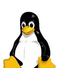 Ubuntu vs Linux : pourquoi l’Open Source est le choix rebelle contre les grandes technologies