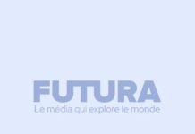 API безпечної мережі Netscape: Забуті основи безпеки мережі